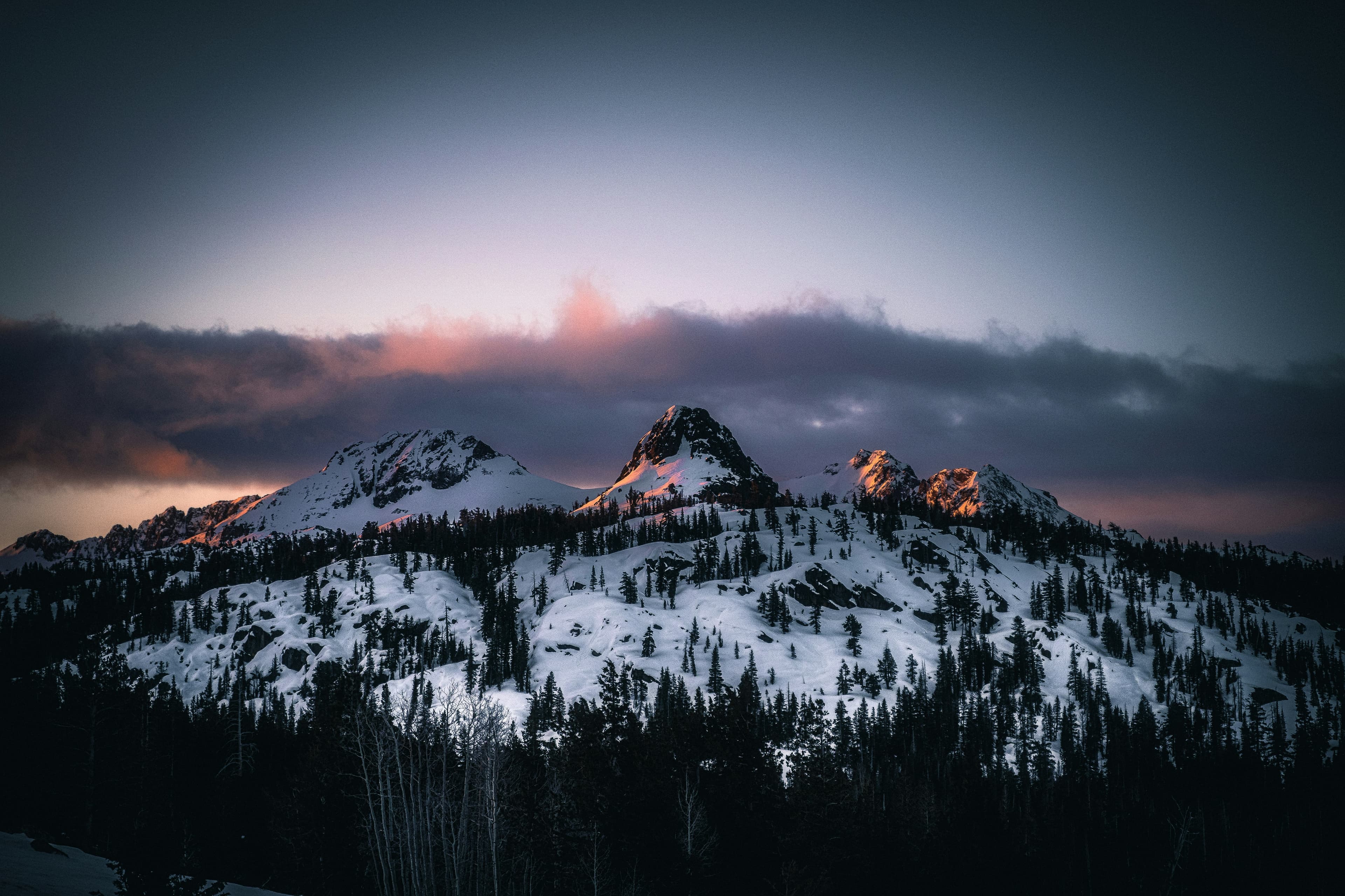 SnowSure \u2014 snow reliability for ski travel