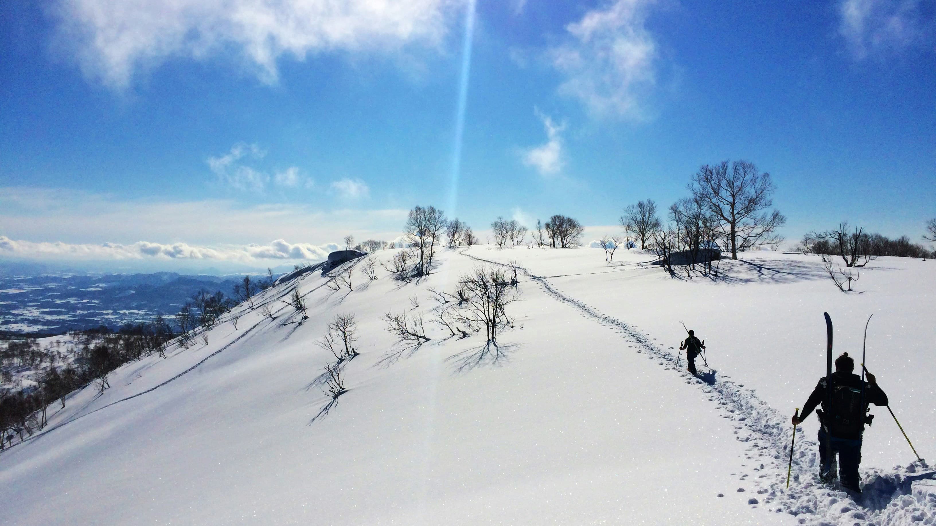 SnowSure \u2014 snow reliability for ski travel